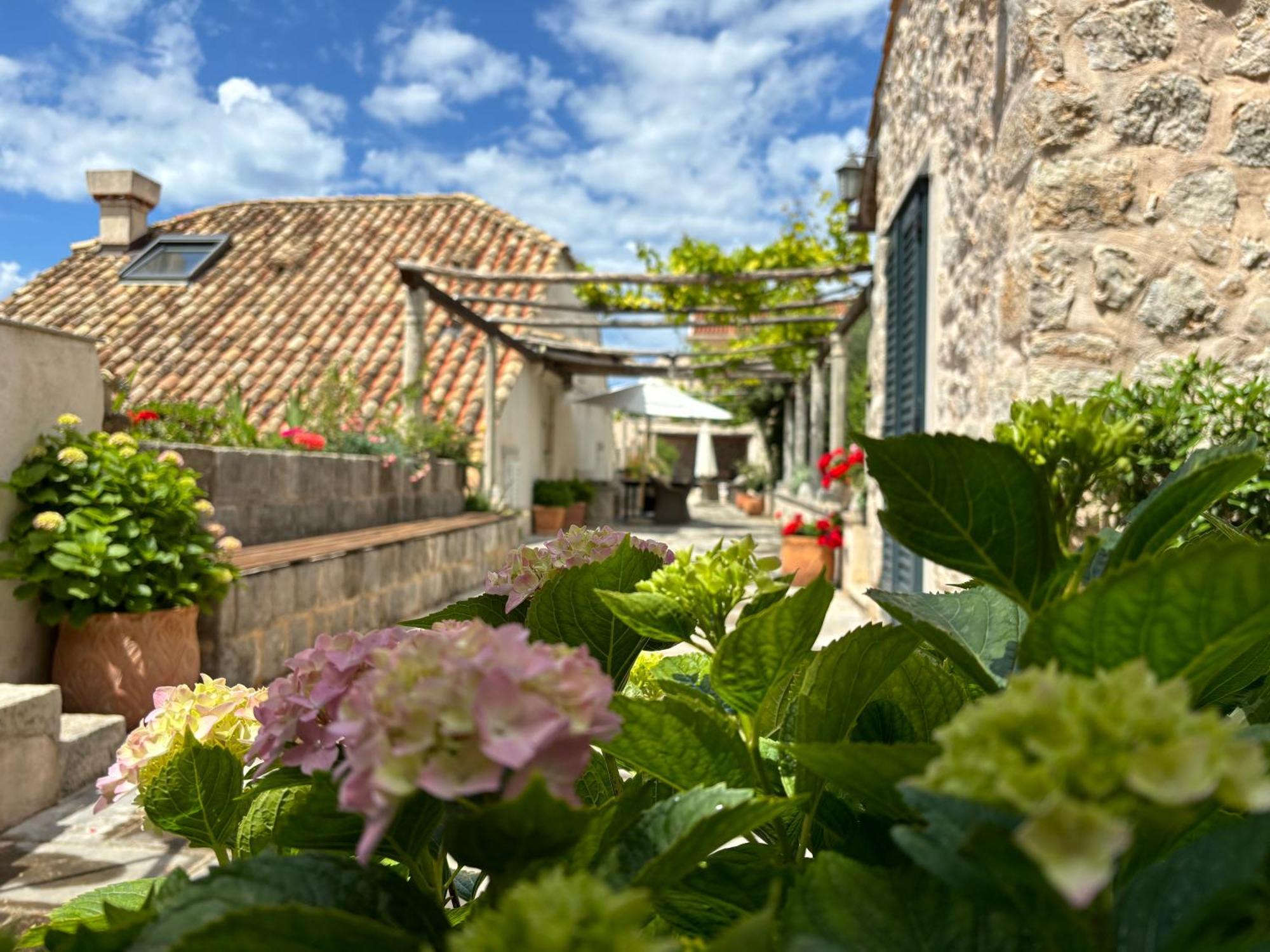 Villa Anica Dubrovnik - Luxurious With A Sea View Buitenkant foto